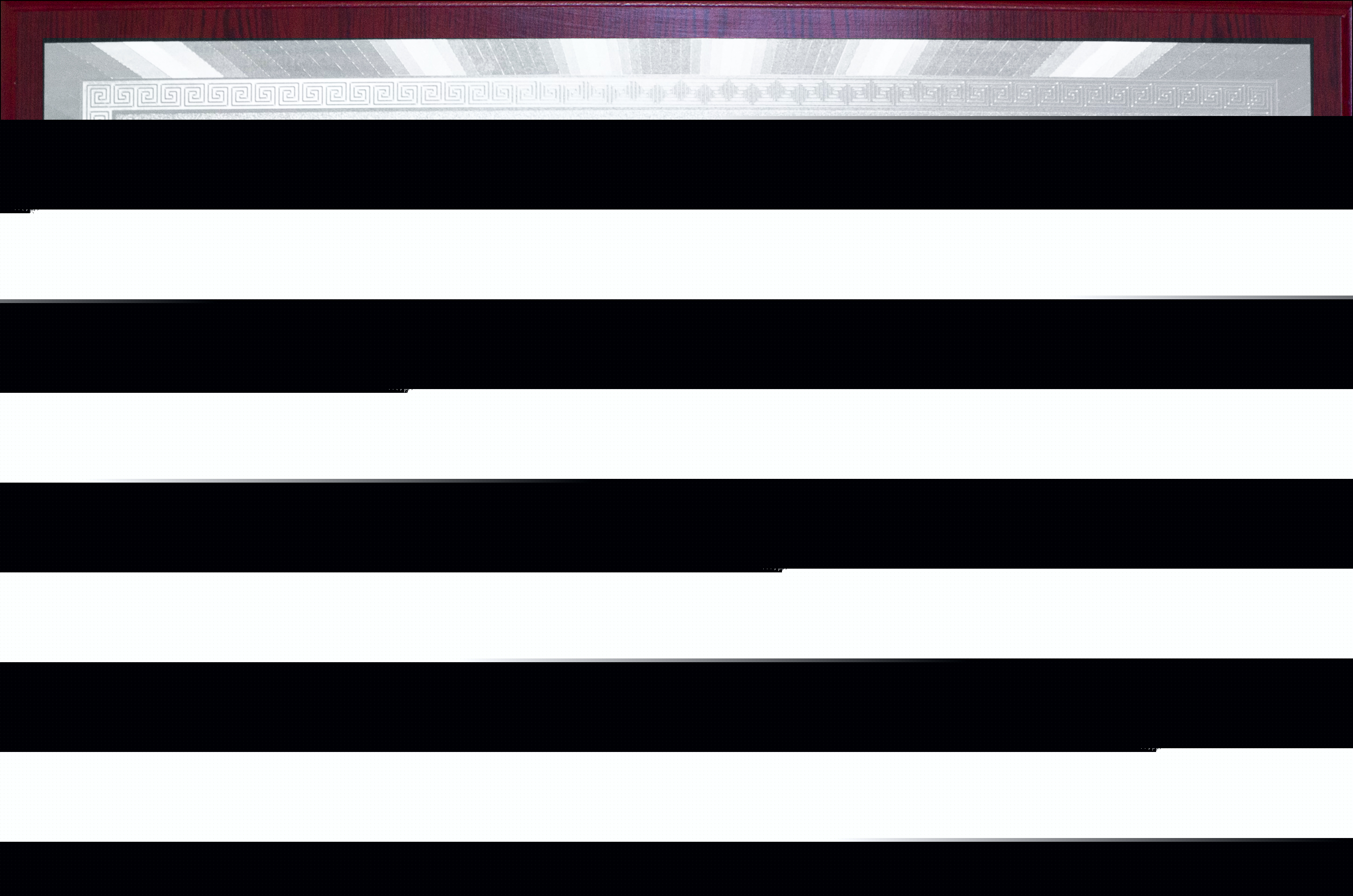 榮譽(yù)資質(zhì)